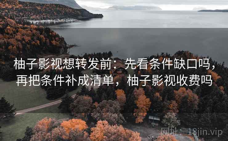 柚子影视想转发前：先看条件缺口吗，再把条件补成清单，柚子影视收费吗